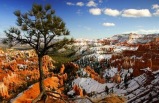 6-Day Yellowstone, Bryce Canyon National Park, Antelope Canyon Bus Tour from Los Angeles